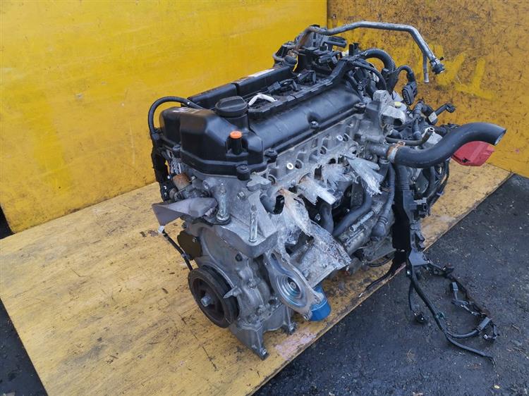 Двигатель Хонда Грейс в Кызыле 43549