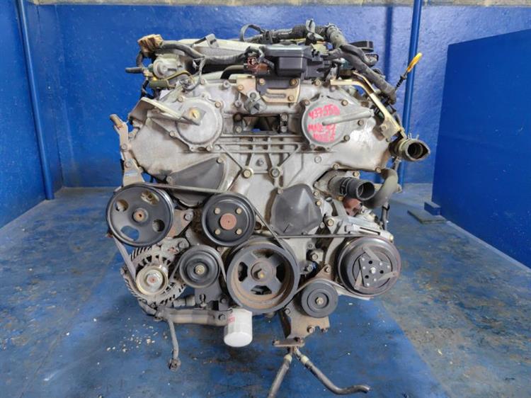 Двигатель Ниссан Эльгранд в Кызыле 437558