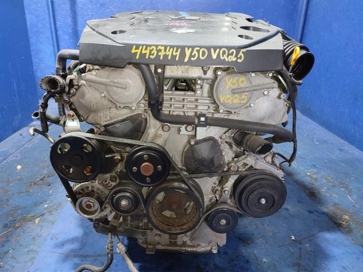 Двигатель Ниссан Фуга в Кызыле 443744
