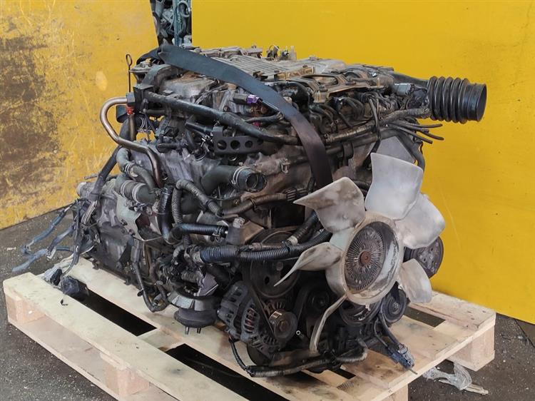 Двигатель Ниссан Седрик в Кызыле 552512