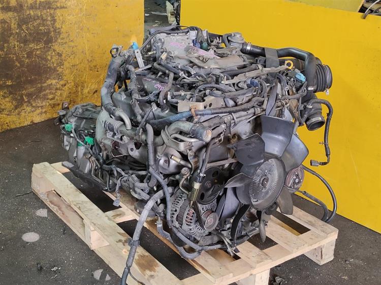 Двигатель Ниссан Сима в Кызыле 552581