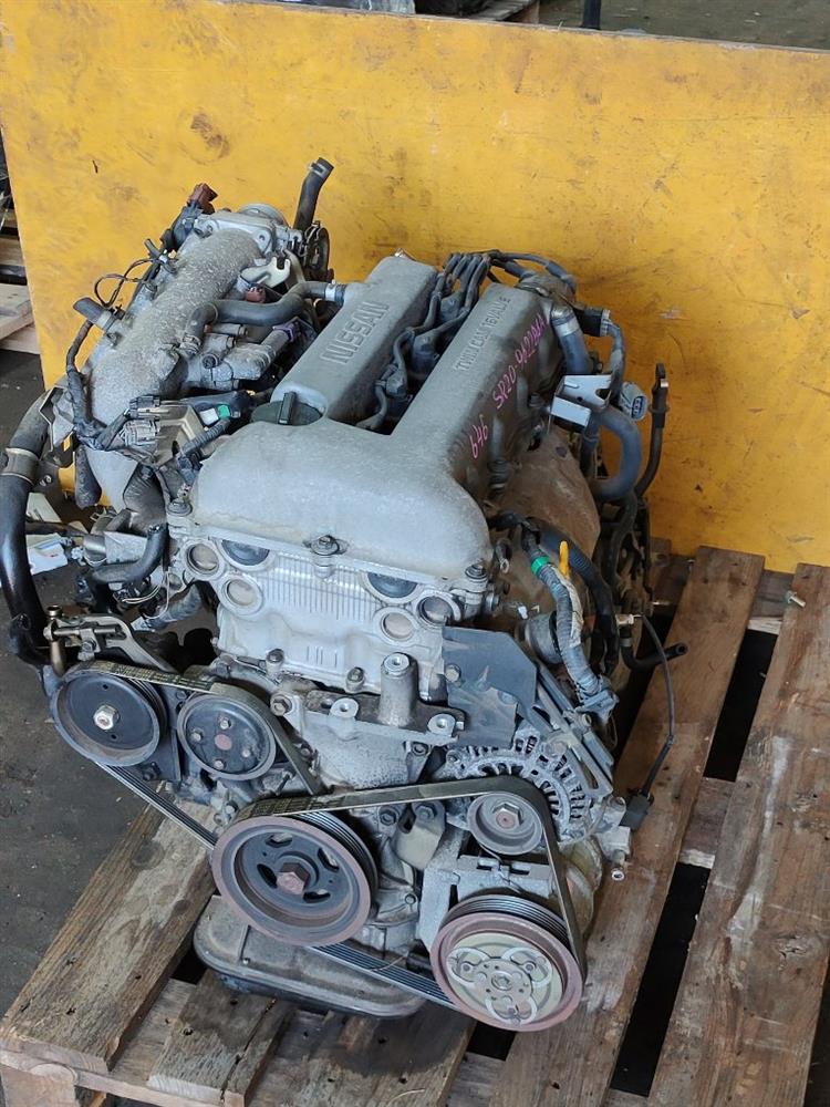 Двигатель Ниссан Рнесса в Кызыле 644481