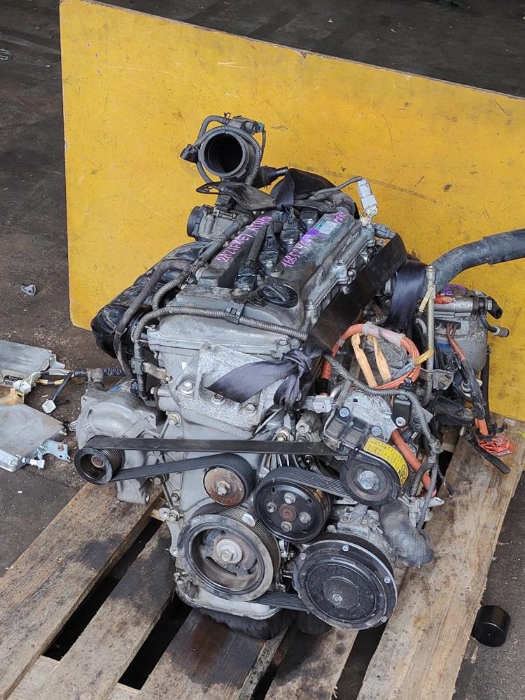 Двигатель Тойота Альфард в Кызыле 644931