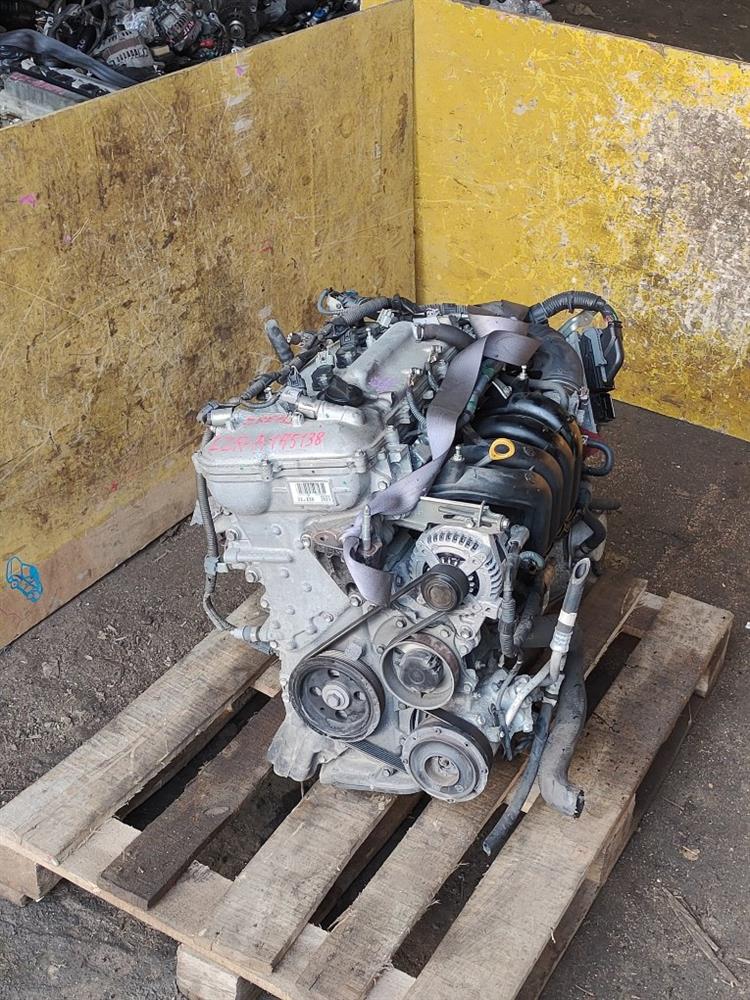 Двигатель Тойота Королла Румион в Кызыле 69662