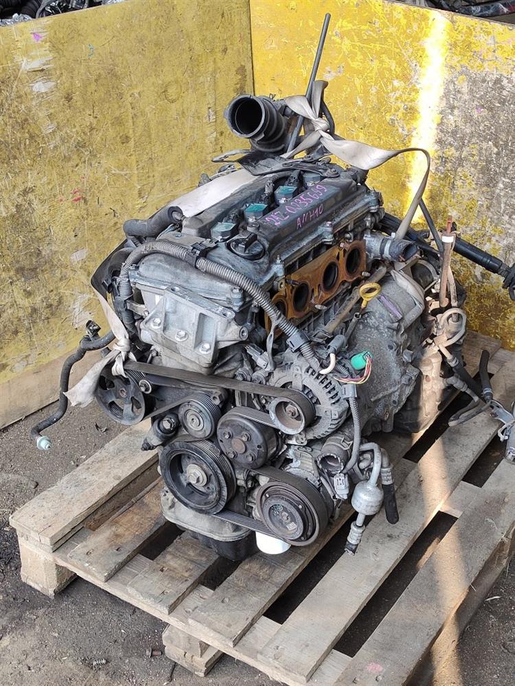 Двигатель Тойота Альфард в Кызыле 69691