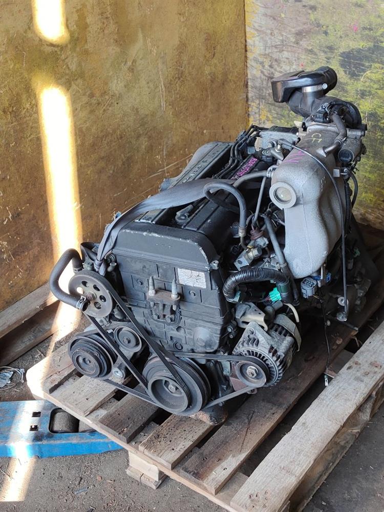 Двигатель Хонда Степвагон в Кызыле 731412