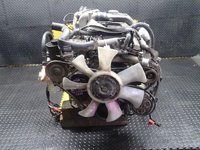 Двигатель Ниссан Сафари в Кызыле 95493